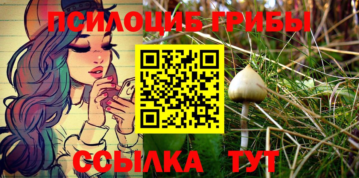 Кулебаки  Псилоцибиновые грибы Psilocybe  Вход с VPN 